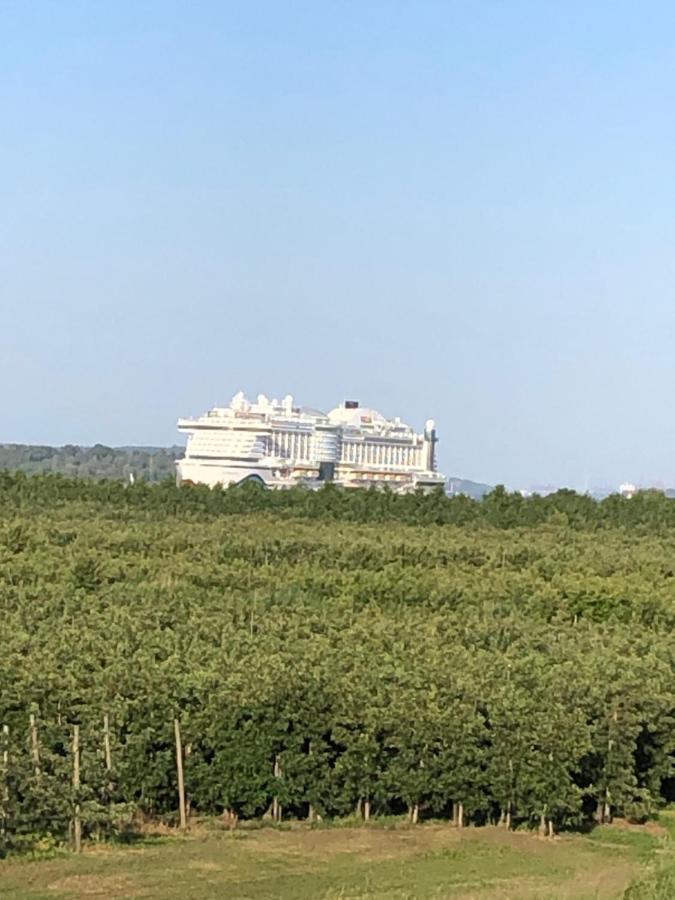 Wohnen Im Alten Land Gruenendeich Exterior foto